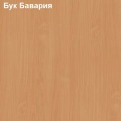 Тумба выкатная с дверкой Логика Л-12.3 | фото 2